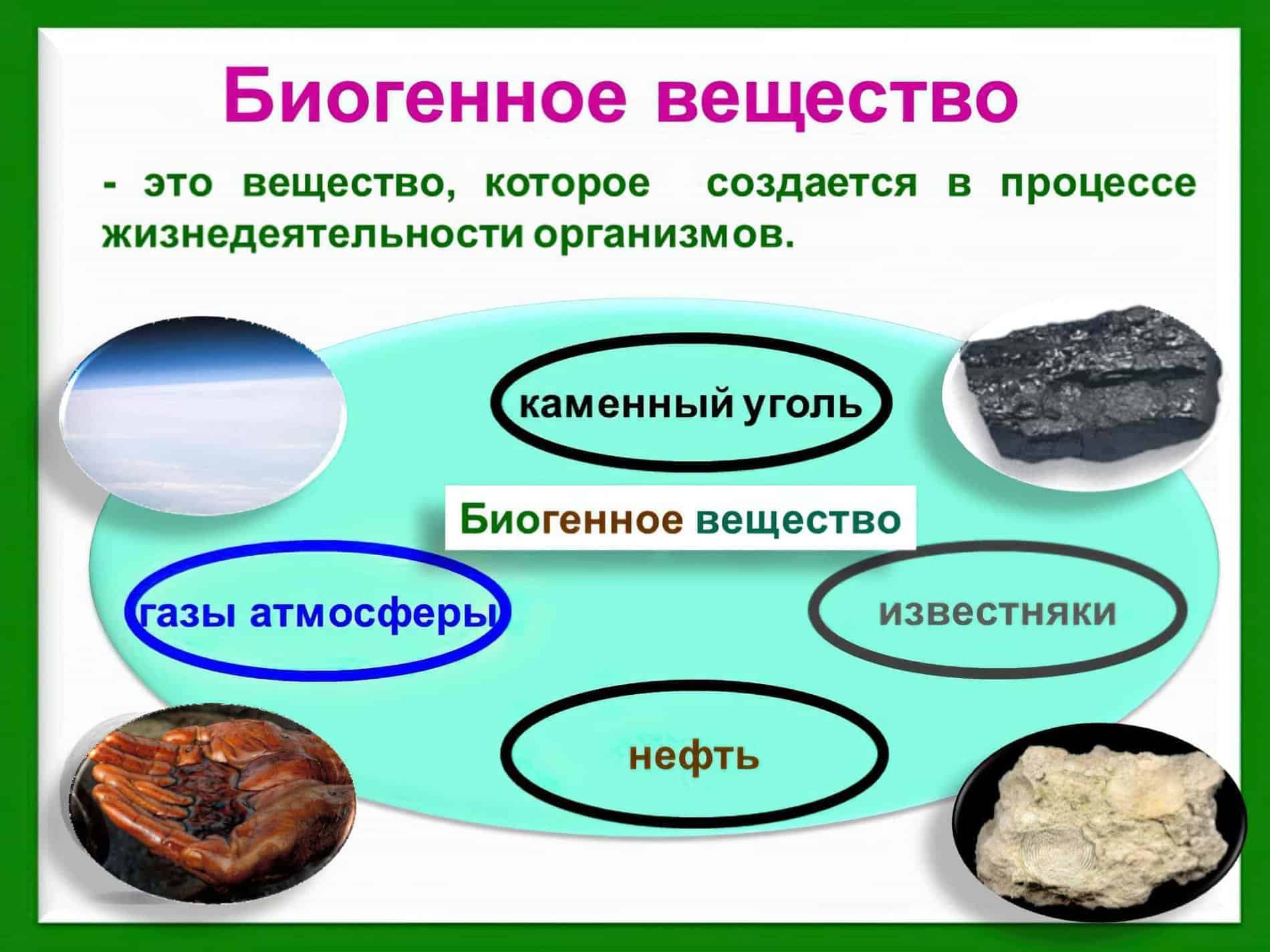 Вещество это ответ. Биогенное вещество биосферы. Биогенное происхождение вещества. Биогенное вещество биосферы примеры. Биогенное происхождение.