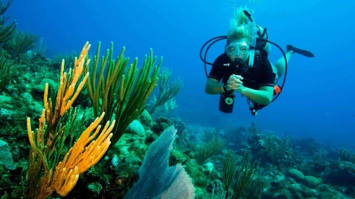 Diving in Turkey - pros and cons