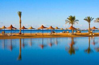 Diving in Egypt: tours and prices