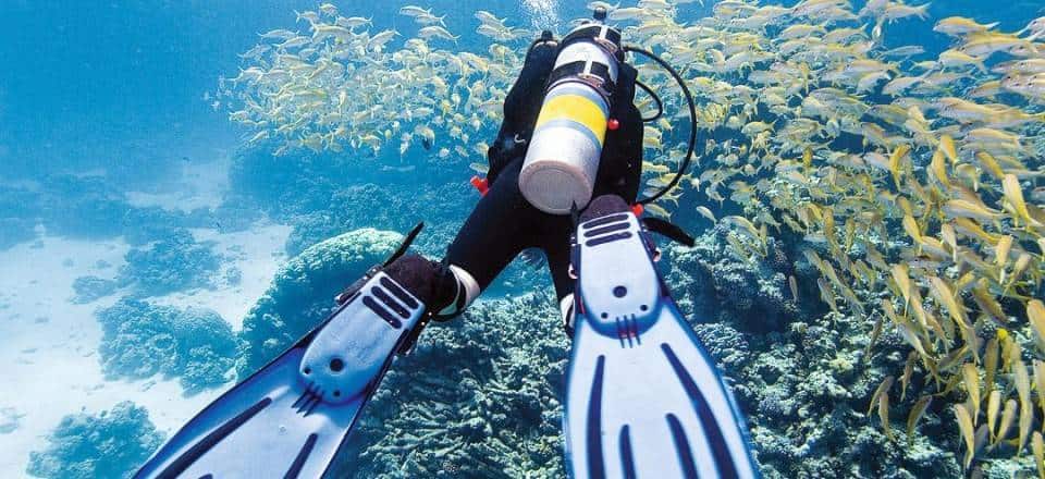 Diving in Hurghada