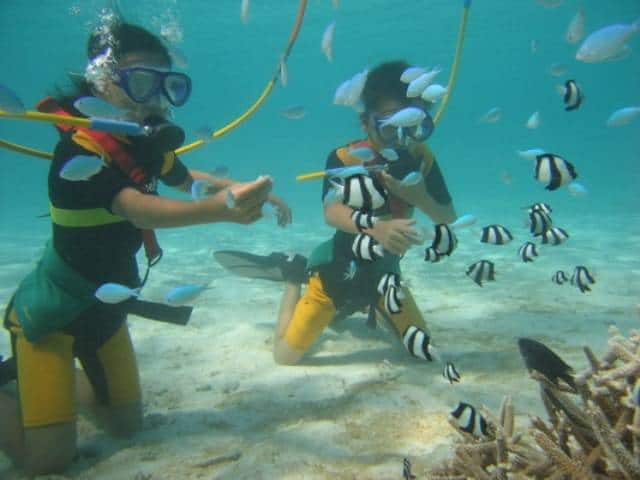 Diving in Thailand