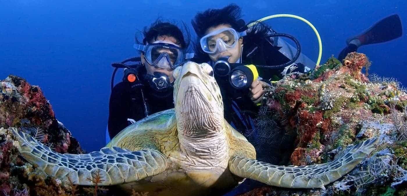 Diving in Malaysia