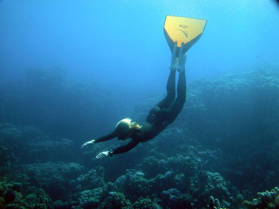 Freediving training: the basic nuances