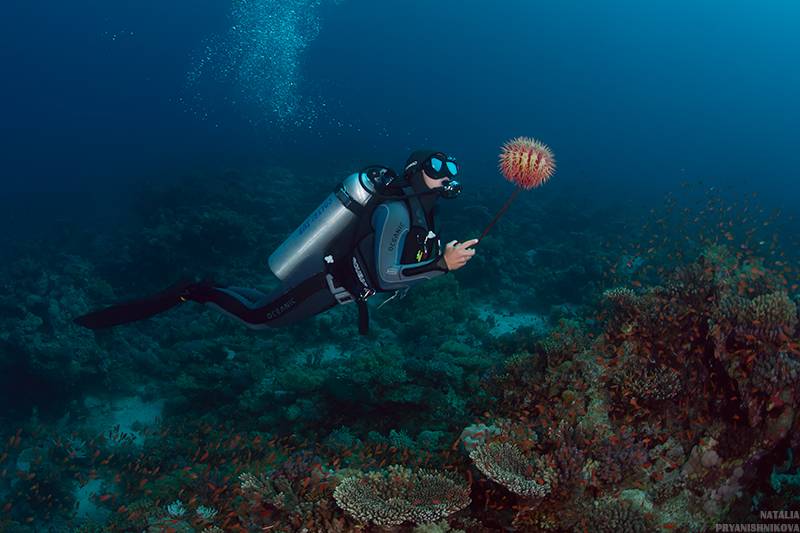 How to find a diving instructor