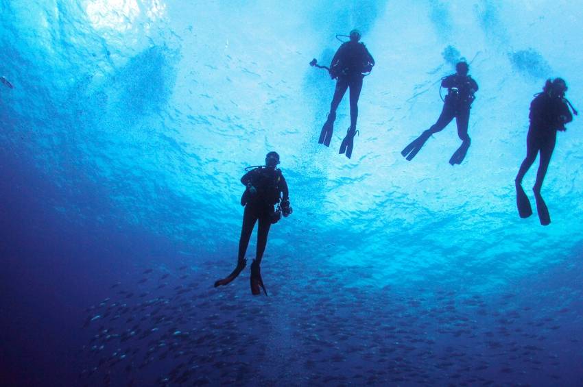 How to find a diving instructor