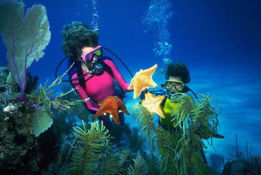 Diving destinations