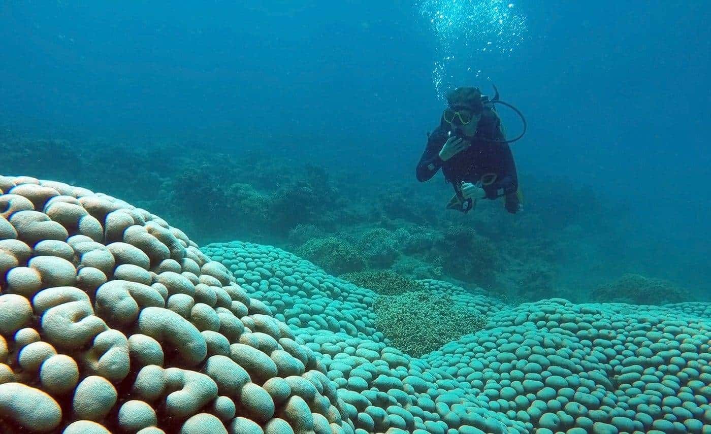 Sea in Nha Trang, Vietnam