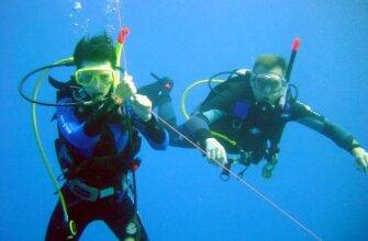 Dangerous diving: how to get home?