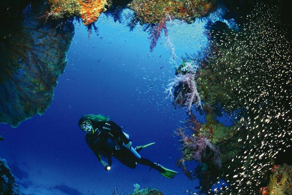 Vacation Diving