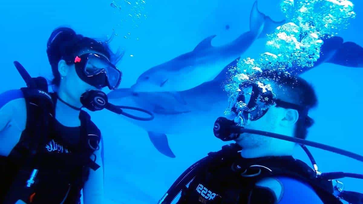 Diving - recreation for real men