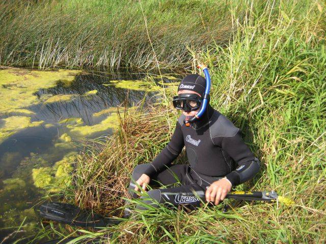 Underwater hunting in the river