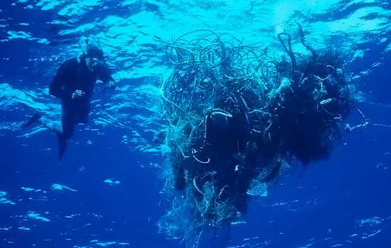 The dangers of submerged nets