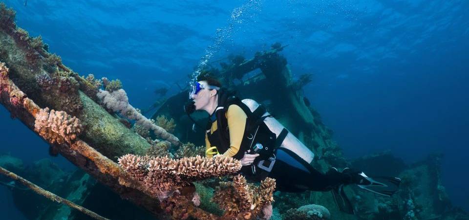 Cost of diving training