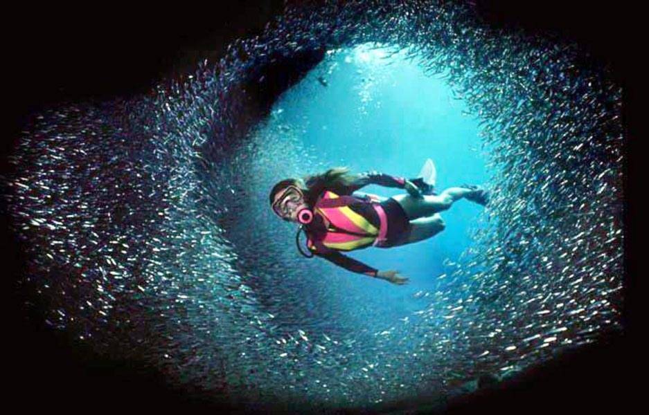 Top 10 Countries for Scuba Diving