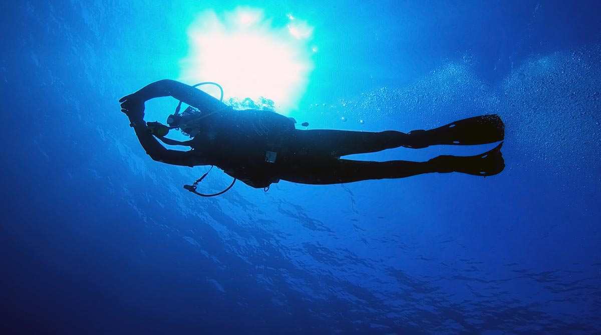 The main vector for diving