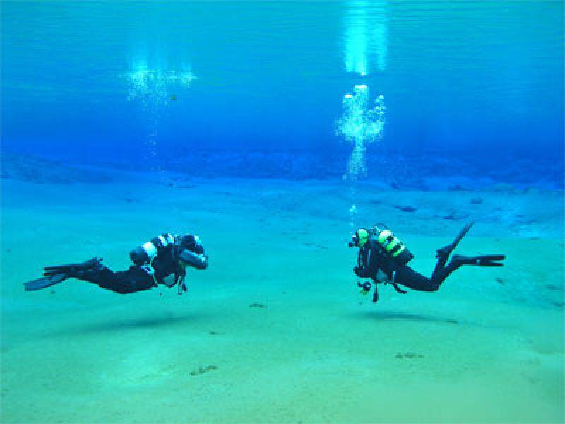 Types of diving
